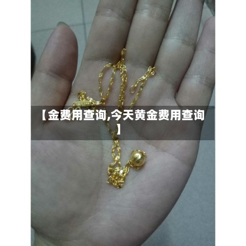 【金费用查询,今天黄金费用查询】