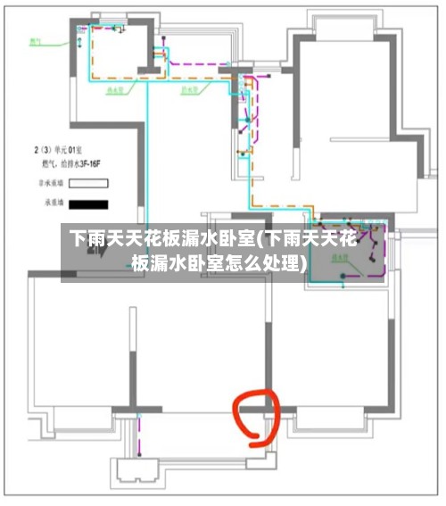 下雨天天花板漏水卧室(下雨天天花板漏水卧室怎么处理)-第2张图片