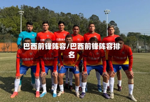 巴西前锋阵容/巴西前锋阵容排名