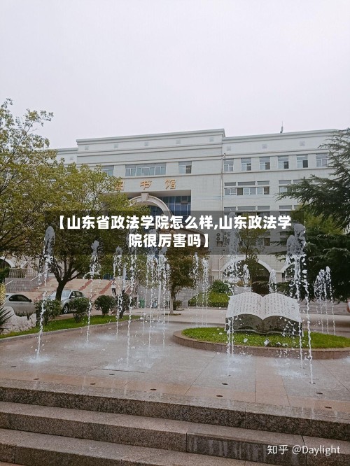 【山东省政法学院怎么样,山东政法学院很厉害吗】-第2张图片