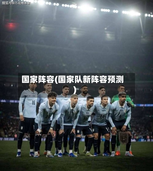 国家阵容(国家队新阵容预测)-第2张图片