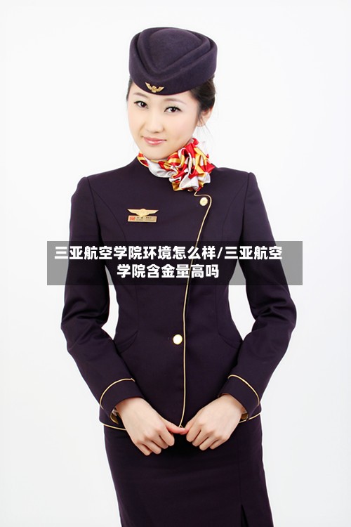 三亚航空学院环境怎么样/三亚航空学院含金量高吗-第3张图片