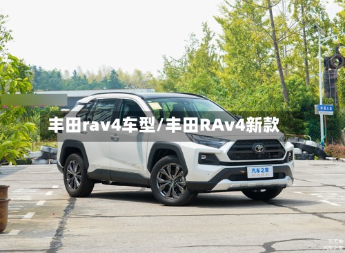 丰田rav4车型/丰田RAv4新款-第2张图片