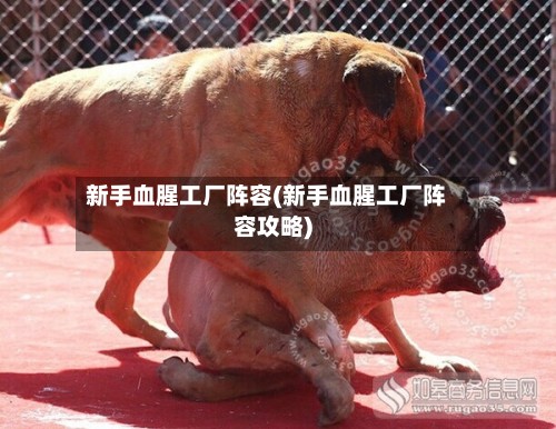 新手血腥工厂阵容(新手血腥工厂阵容攻略)-第2张图片