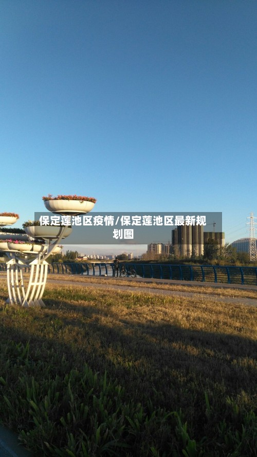 保定莲池区疫情/保定莲池区最新规划图