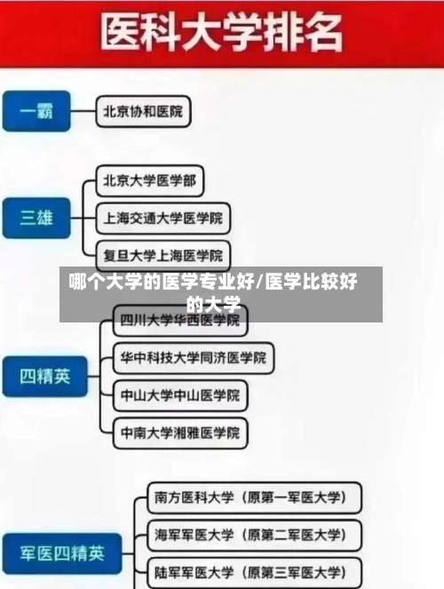 哪个大学的医学专业好/医学比较好的大学-第3张图片