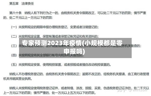 专家预测2023年疫情(小规模都是零申报吗)