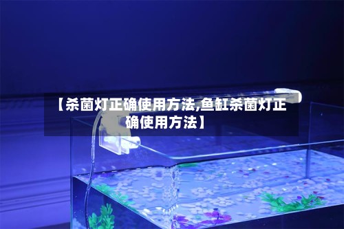 【杀菌灯正确使用方法,鱼缸杀菌灯正确使用方法】