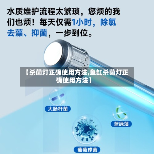 【杀菌灯正确使用方法,鱼缸杀菌灯正确使用方法】-第3张图片
