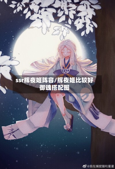 ssr辉夜姬阵容/辉夜姬比较好御魂搭配图