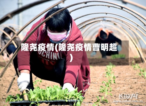 隆尧疫情(隆尧疫情曹明超)-第2张图片