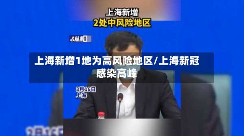 上海新增1地为高风险地区/上海新冠感染高峰-第2张图片