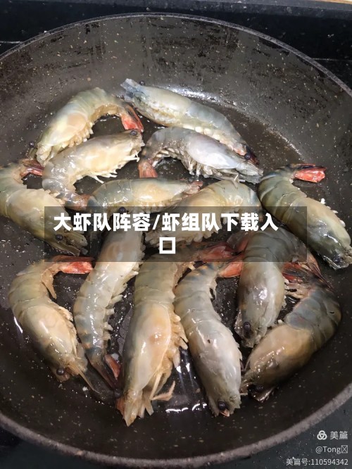 大虾队阵容/虾组队下载入口-第3张图片