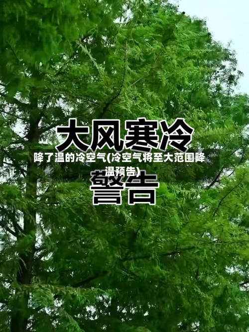 降了温的冷空气(冷空气将至大范围降温预告)-第2张图片