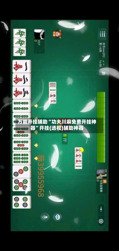 万能开挂辅助“功夫川麻免费开挂神器”开挂(透视)辅助神器-第3张图片