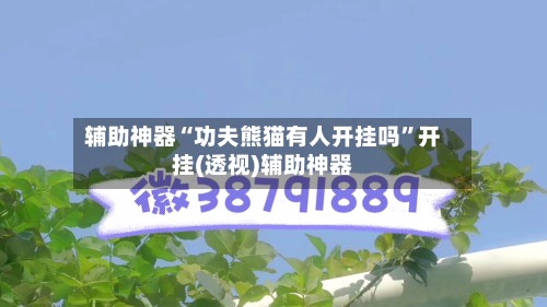 辅助神器“功夫熊猫有人开挂吗”开挂(透视)辅助神器