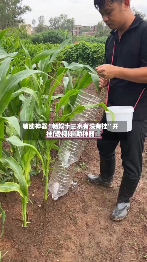 辅助神器“畅娱十三水有没有挂	”开挂(透视)辅助神器-第2张图片