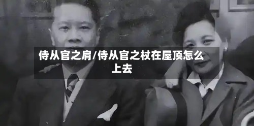 侍从官之肩/侍从官之杖在屋顶怎么上去
