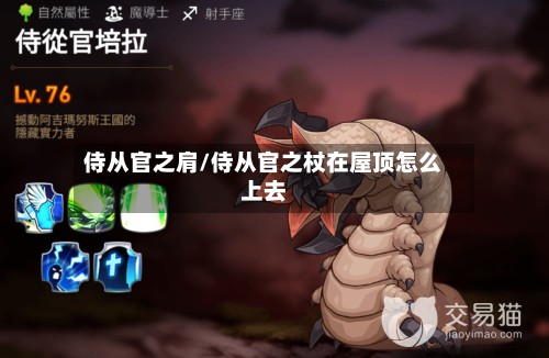 侍从官之肩/侍从官之杖在屋顶怎么上去-第2张图片