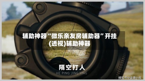 辅助神器“微乐亲友房辅助器”开挂(透视)辅助神器-第3张图片