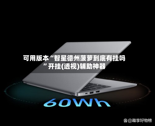 可用版本“智星德州菠萝到底有挂吗”开挂(透视)辅助神器-第2张图片