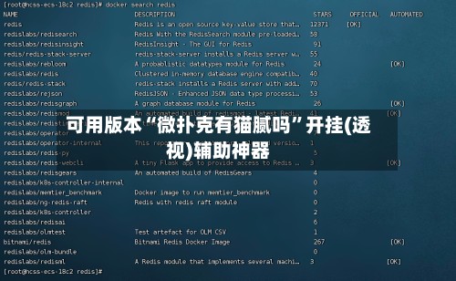 可用版本“微扑克有猫腻吗”开挂(透视)辅助神器-第2张图片