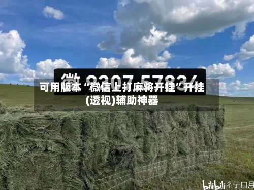 可用版本“微信上打麻将开挂”开挂(透视)辅助神器