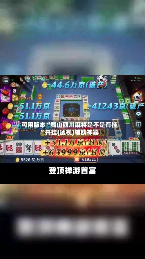 可用版本“蜀山四川麻将是不是有挂”开挂(透视)辅助神器-第3张图片