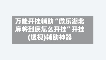 万能开挂辅助“微乐湖北麻将到底怎么开挂	”开挂(透视)辅助神器-第2张图片