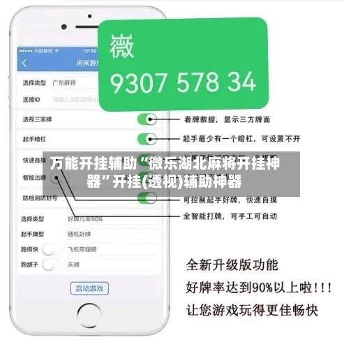 万能开挂辅助“微乐湖北麻将开挂神器”开挂(透视)辅助神器-第2张图片