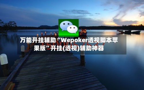 万能开挂辅助“Wepoker透视脚本苹果版”开挂(透视)辅助神器-第3张图片
