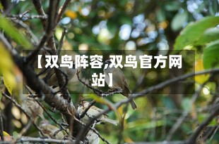 【双鸟阵容,双鸟官方网站】