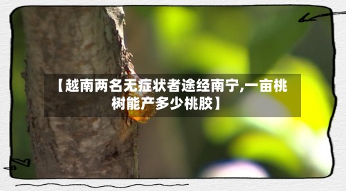 【越南两名无症状者途经南宁,一亩桃树能产多少桃胶】