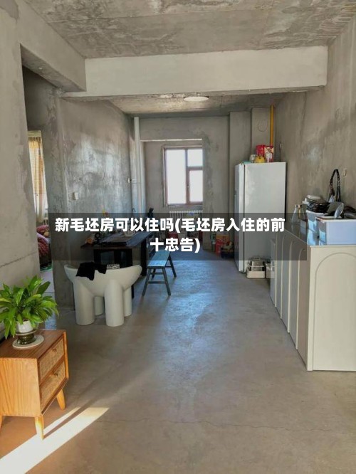 新毛坯房可以住吗(毛坯房入住的前十忠告)